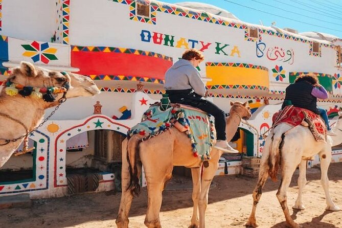 Day Trip to Nubian Village with Camel Tour from Aswan - Why this Nubian Village day trip works from Aswan