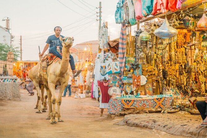 Day Trip to Nubian Village with Camel Tour from Aswan - Who this tour fits best (and who might want a different plan)
