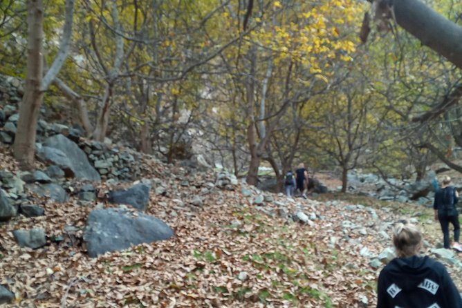 Day Trip to Ourika Valley and Atlas Mountains - Price and Value: What $52.14 Gets You (and What to Double-Check)