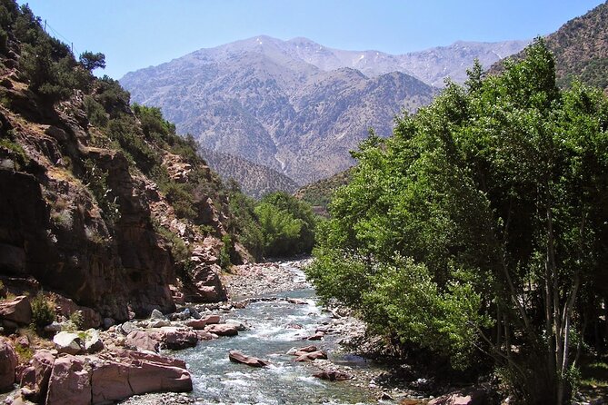 Day Trip to Ourika Valley & Atlas Mountains from Marrakech - Price and Value: Why Around $21 Can Make Sense