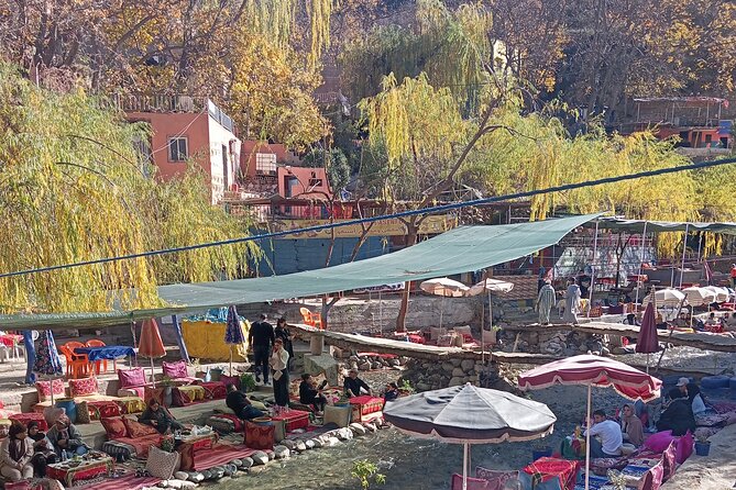 Day Trip to Ourika Valley from Marrakech - Key Highlights You’ll Feel Day-of