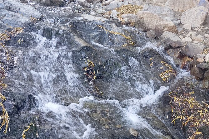 Day Trip to Ourika Valley from Marrakech - Why Ourika Valley Fits as a 6-Hour Escape From Marrakech