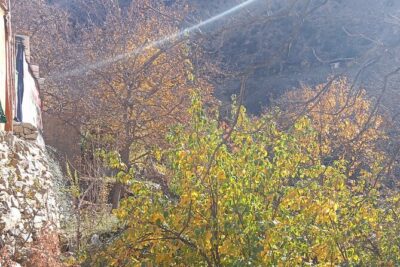 Day Trip to Ourika Valley from Marrakech - Getting There: Comfort Bus, Hotel Pickup, and the 1.5-Hour Ride