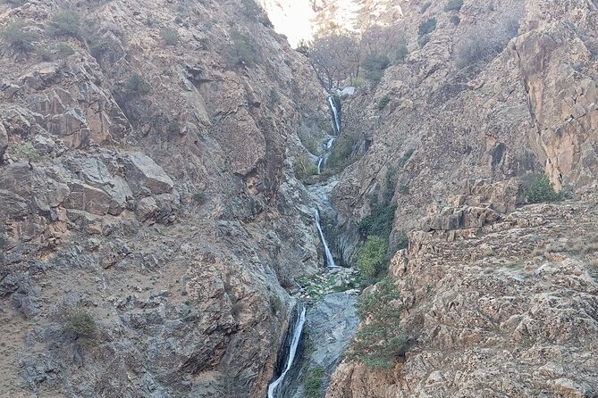Day Trip to Ourika Valley from Marrakech - Group Size (Up to 50) and Why It Matters