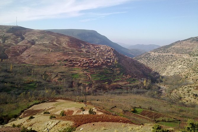 Day Trip to Ouzoud WaterFalls from Marrakech: Shared - Lunch and drinks: plan to pay on your own (and request vegetarian early)