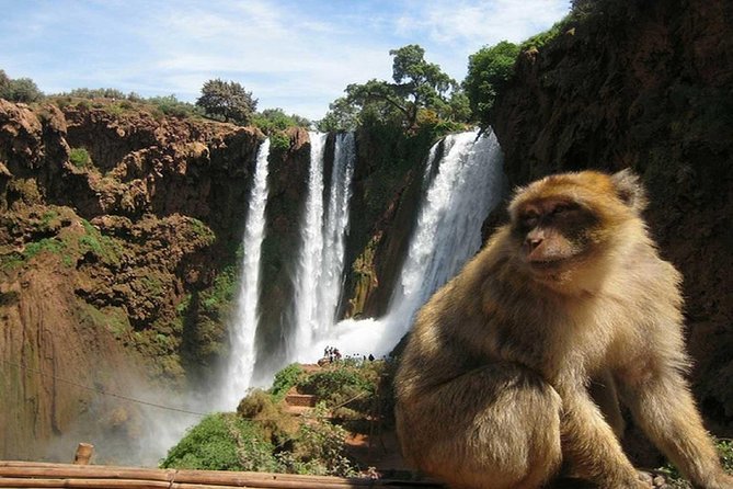 Day Trip To Ouzoud Waterfalls (Guide Hike & Boat are options) - Boat Ride Option For A Different Perspective (And A Little Cooling)