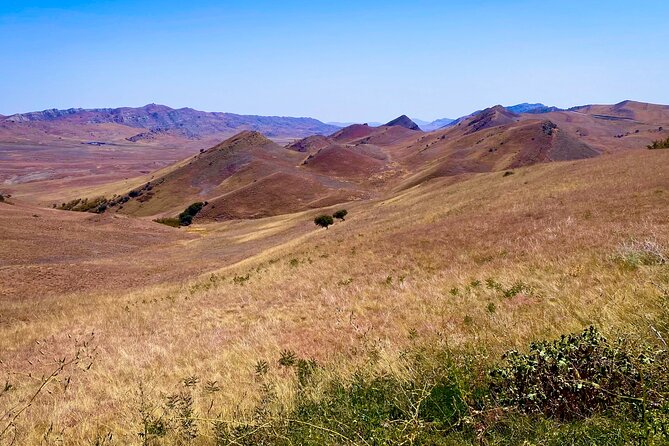 Day Trip to Rainbow Mountains and David Gareja - David Gareja Monastery Complex: Spiritual Caves and Border Stories
