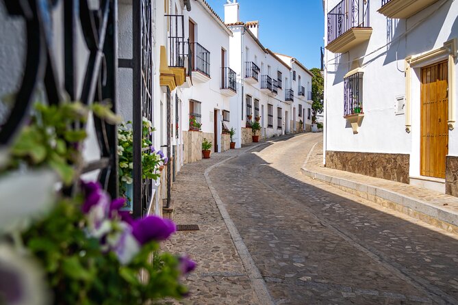 Day trip to Zahara, Setenil and Ronda from Seville - Practical Tips Before You Go