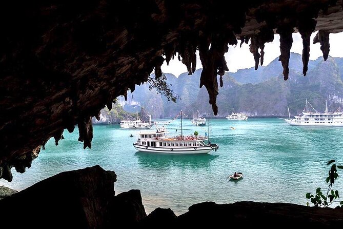 DELUXE Halong Bay Day Tour From Hanoi, Daily Operated 2024 - 2025 - Lunch on board: seafood, vegetarian needs, and what to expect