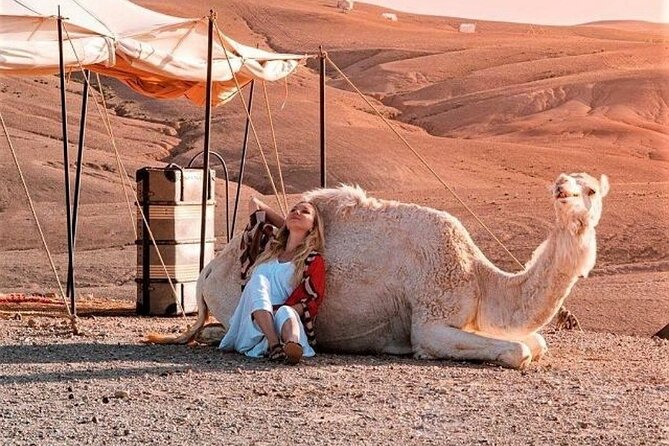 Desret Agafay and Atlas Mountains & Camel ride Day Trip From Marrakech - Atlas Mountains walking time and waterfall scenery