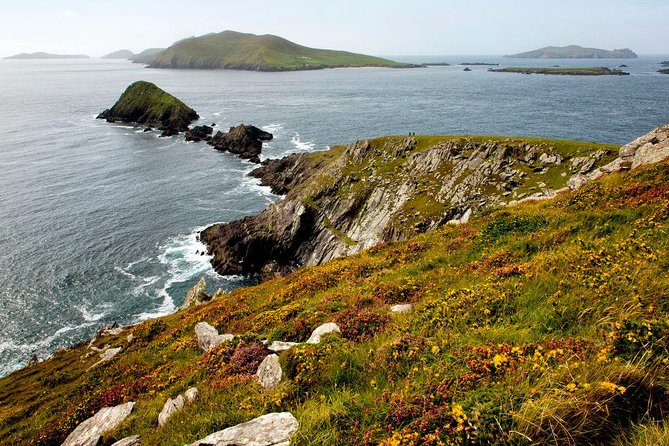 Dingle Peninsula Day Tour from Cork: Including The Wild Altanic Way - Dingle Village: pubs, harbor vibes, and time for lunch