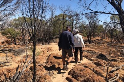 Dinosaur Stampede 3/4 Day Tour from Winton - Spinifex Track and the Dinosaur Stampede walk: the core experience