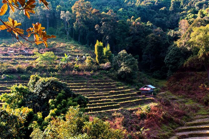 Doi Inthanon National Park, Waterfall & Royal Project Day Tour From Chiang Mai - Price and Value: What You Pay vs. What You’ll Need to Add