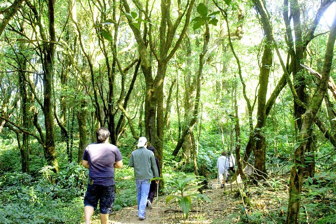 Doi Inthanon National Park, Waterfall & Royal Project Day Tour From Chiang Mai - Doi Inthanon National Park: More Than Just the Name