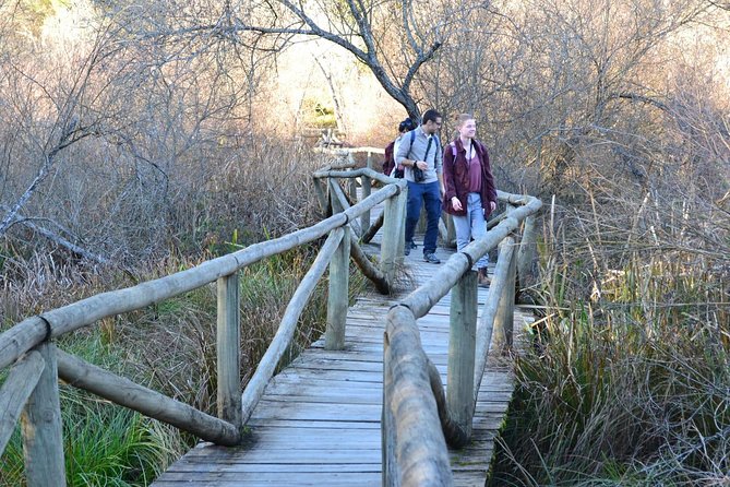 Donana National Park: Guided Day Tour from Seville - The core Doñana experience: visiting the park area near El Rocío