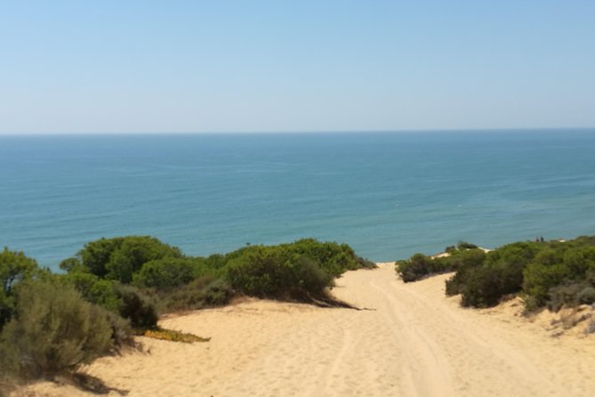 Donana National Park: Guided Day Tour from Seville - Guides, group size, and how to get the most out of every stop