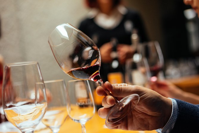 Douro Valley Private Day Trip including Boat Ride & Wine Tasting - The Douro River boat ride: what it gives you (and what to expect)