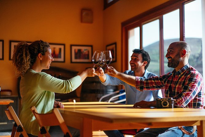Douro Valley Private Day Trip including Boat Ride & Wine Tasting - Price and value: is $325.32 per person worth it?