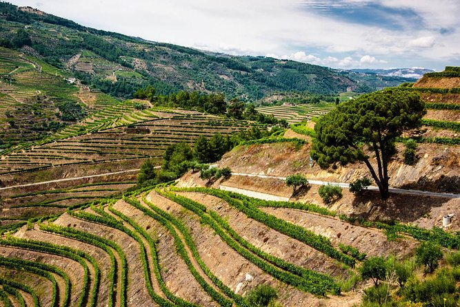 Douro Valley Private Day Trip including Boat Ride & Wine Tasting - What to pack and how to plan your day