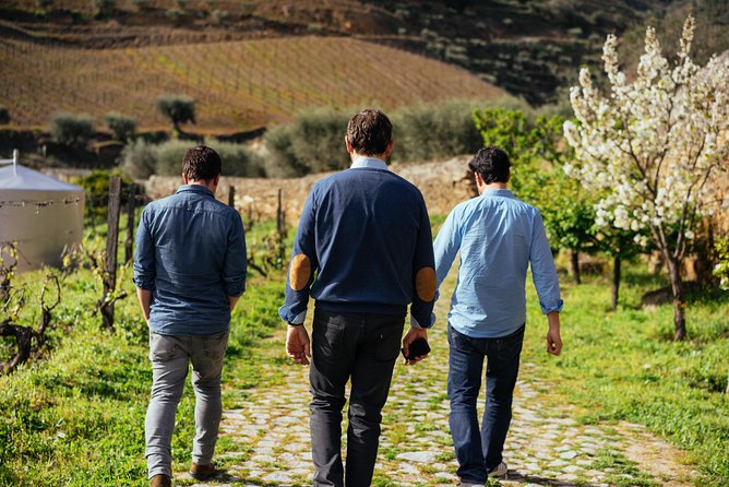 Douro Valley Private Day Trip including Boat Ride & Wine Tasting - Porto to Pinhão: using the drive for real viewpoints