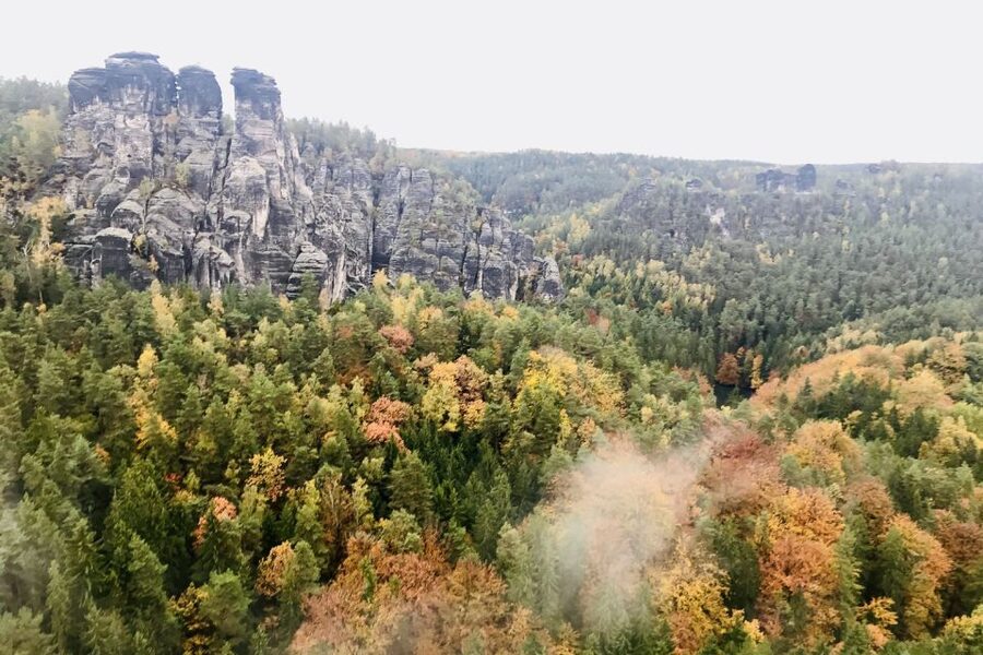 Dresden: Hassle-free trip to Bohemian and Saxon Switzerland - Wild Gorge / Kamenice Gorge ride: seeing the rocks from water level