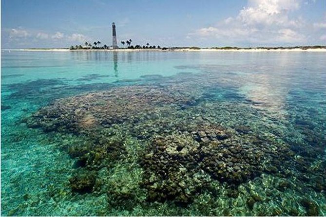 Dry Tortugas National Park Day Trip by Catamaran from Key West - Fort Jefferson: how to make the history tour count