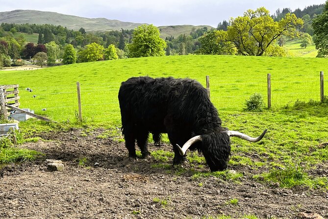 Edinburgh: Loch Ness, Glencoe & The Highlands - Pitlochry for a Final Stretch Before the Return (30 Minutes)