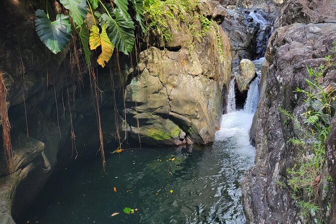 El Yunque Rainforest and Luquillo Kiosk Day Trip - El Yunque morning: what the early start actually buys you