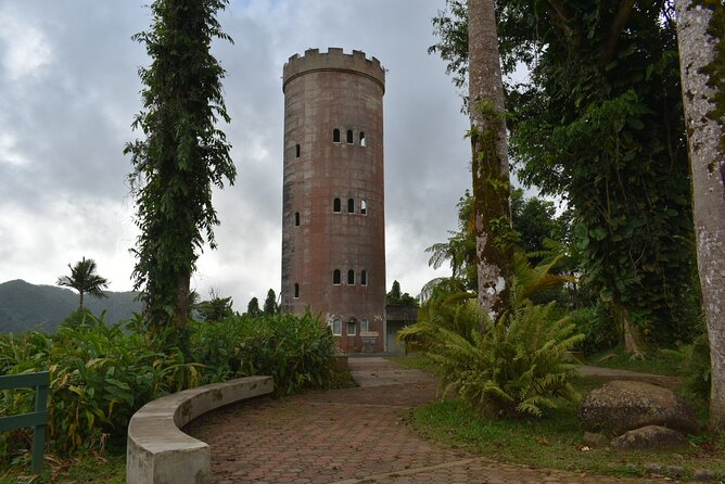 El Yunque Rainforest Guided Day Tour from San Juan - Key Things You’ll Notice on This El Yunque Tour