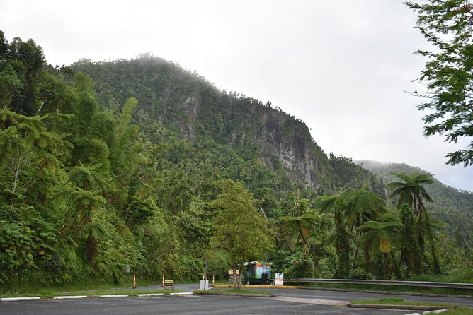 El Yunque Rainforest Guided Day Tour from San Juan - A Half-Day That Actually Fits Real Schedules