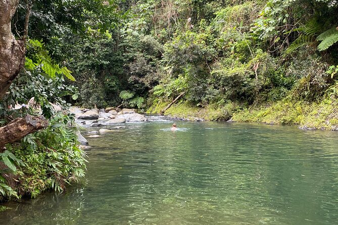 El Yunque Rainforest Guided Day Tour from San Juan - Mameyes II Nature Walk and the River Swim Reality