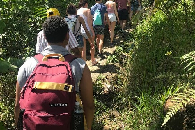 El Yunque Rainforest Guided Day Tour from San Juan - Price and Value: Why $85 Can Feel Fair (or Not)