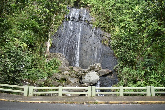 El Yunque Rainforest Guided Day Tour from San Juan - Fitness Level and Terrain: What to Prepare for