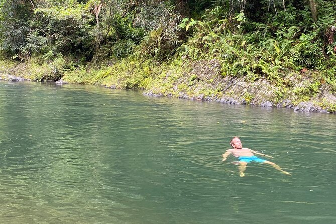 El Yunque Rainforest Guided Day Tour from San Juan - Pickup, Ride Comfort, and What You Learn While You Go