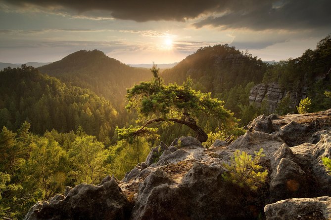 Elbe Canyon & Narnia Movie Locations Day Trip - Bastei Bridge: medieval rock views above the Elbe Canyon