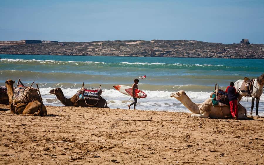 Essaouira Atlantic coast Day trip from marrakech - Key Things You’ll Notice on This Essaouira Day Trip
