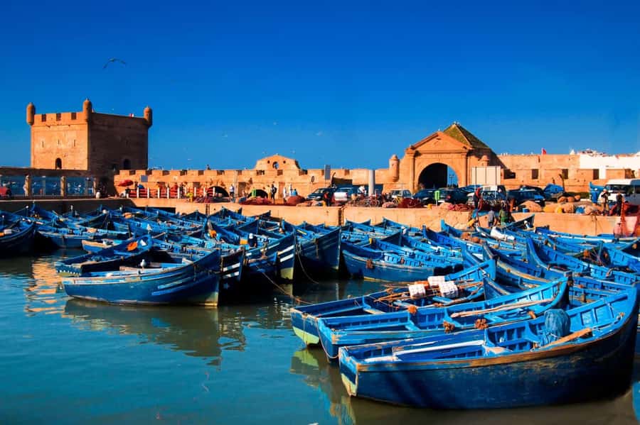 Essaouira Atlantic coast Day trip from marrakech - Who Should Book This (and Who Might Skip It)