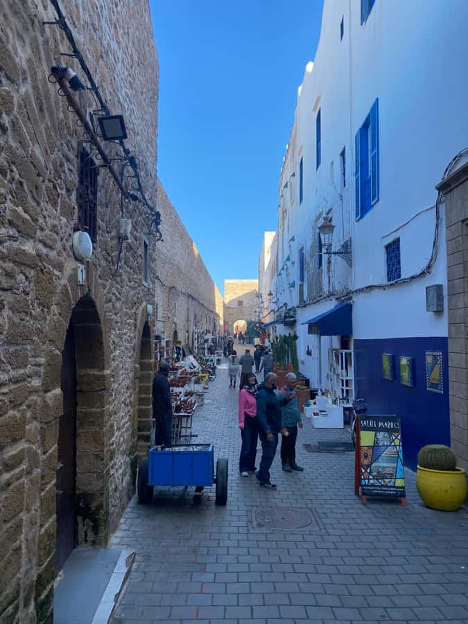 Essaouira City day Trip from Marrakech - Place Moulay Hassan and the harbor: watch fish life, not just tourist life