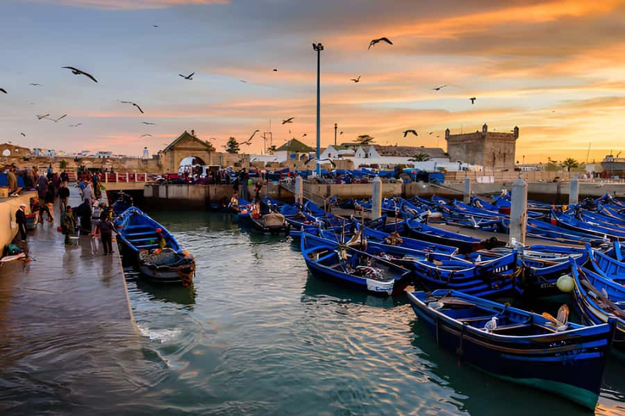 Essaouira Day Trip from Agadir - Who this day trip suits best