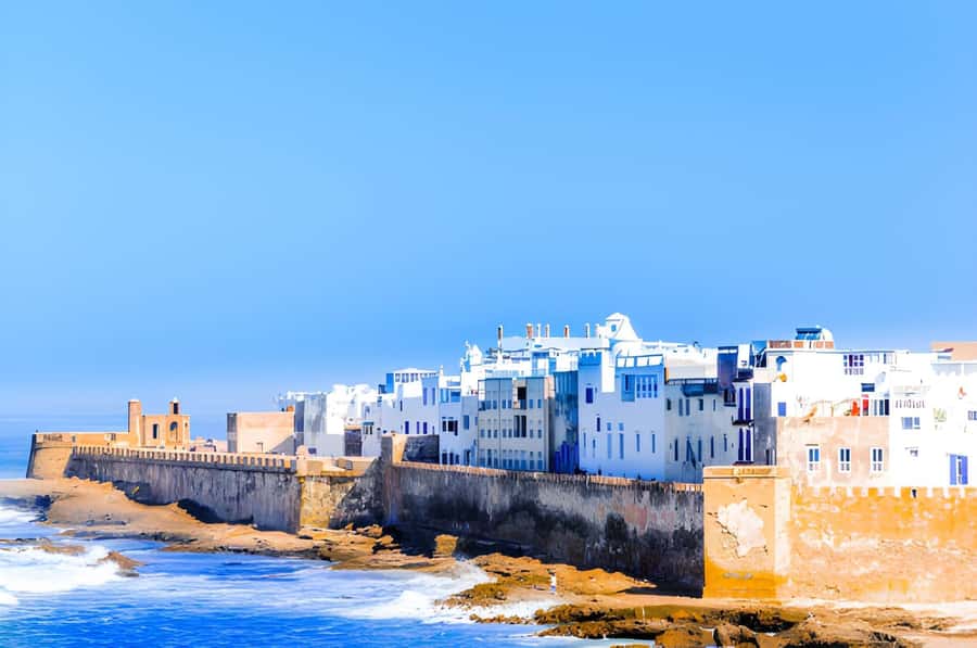 Essaouira Day Trip from Agadir - The morning stops: flying goats, a Berber coffee break, and argan oil