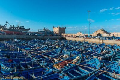 Essaouira Day Trip from Marrakech - The 8:00 Pickup and the Road to Essaouira (Comfort vs. Crowding)
