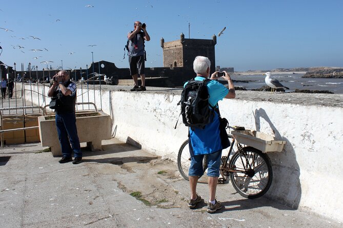 Essaouira Day Trip from Marrakech - Lunch, Beach Weather, and How to Stay Comfortable