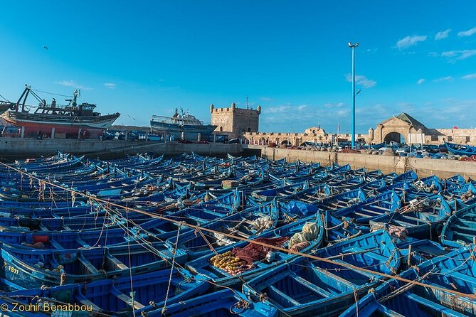 Essaouira Day Trip from Marrakech - The 8:00 Pickup and the Road to Essaouira (Comfort vs. Crowding)
