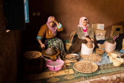 Essaouira Full Day Trip - The first stop: Ounagha goats climbing argan trees