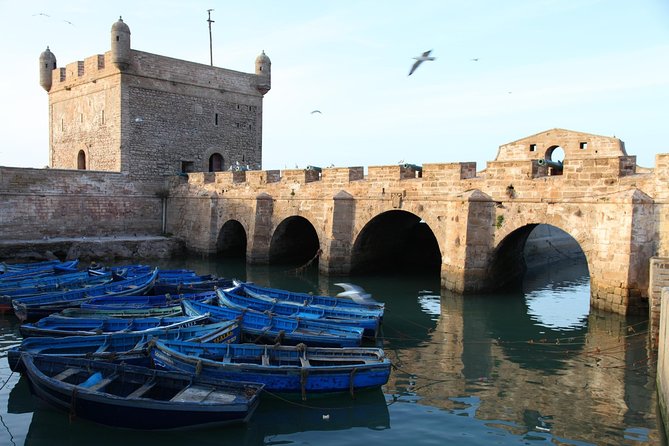 Essaouira Full Day Trip From Marrakech - Wandering the UNESCO Medina Without Getting Worn Out