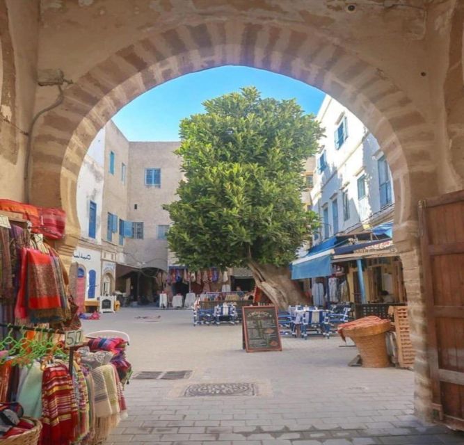 Essaouira Full Day Trip From Marrakech - Ramparts, Cannons, and That Sea-Edge Feeling