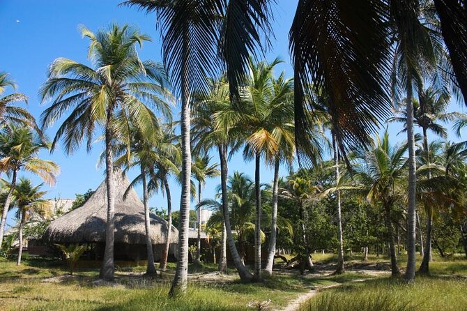Excursión de un día a Islabela en barco desde Cartagena - Key points to know before you go