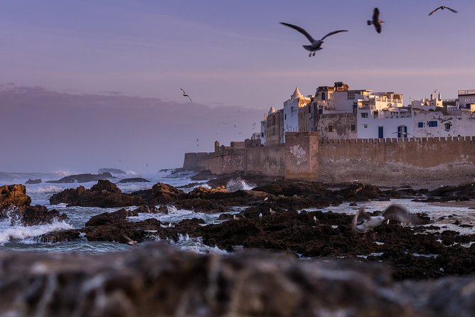 Explore Essaouira on a Day Trip from Marrakech - Marrakech to Essaouira in one day: why this trip works