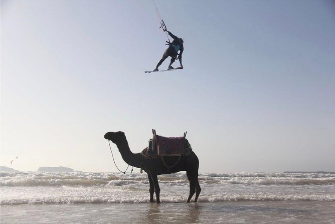Explore Essaouira on a Day Trip from Marrakech - Medina of Essaouira: UNESCO lanes and shopping with breathing room