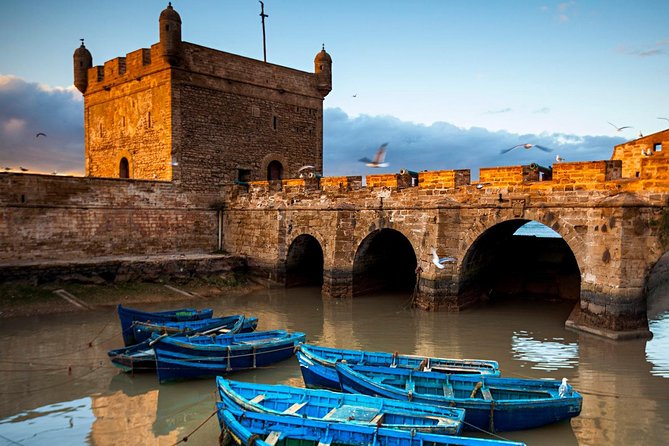 Explore Essaouira on a Day Trip from Marrakech - Argan oil factory stop: what you’ll see and how to shop smart